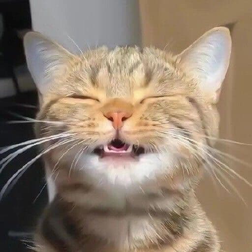 이찬희 위원장
