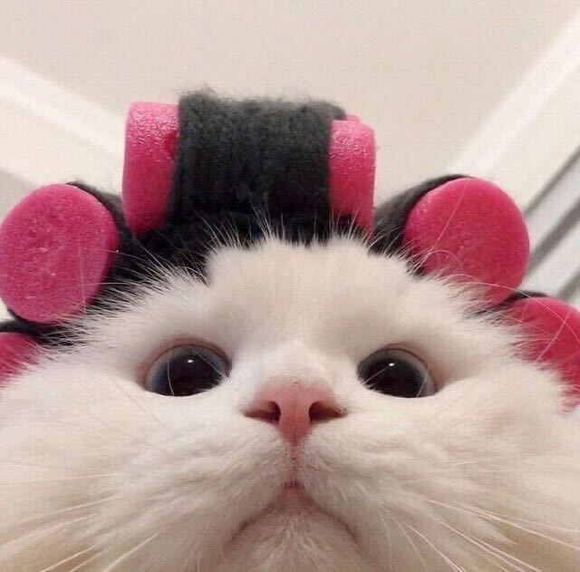 뉴스 이미지 1