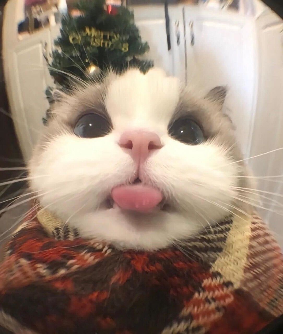 뉴스 이미지 2