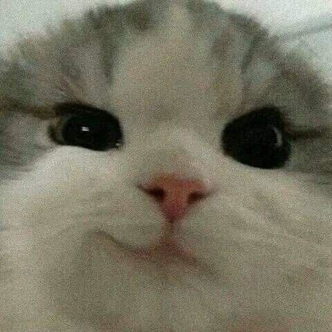 뉴스 이미지 3